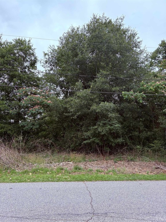 Picture 8