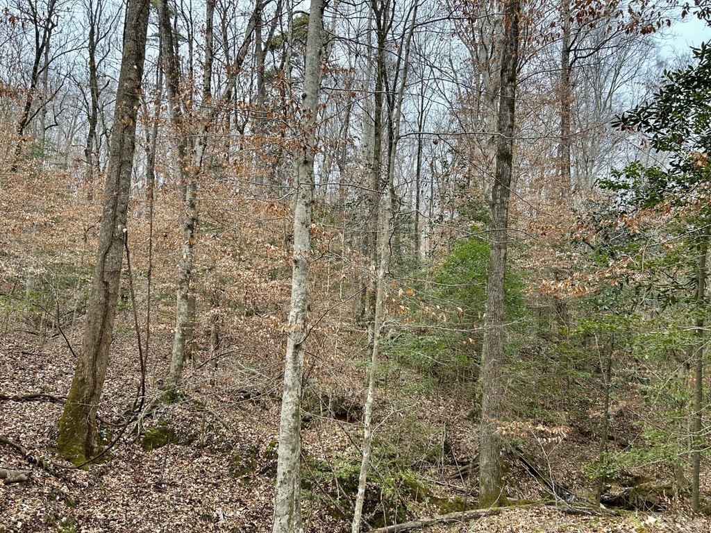 Picture 17