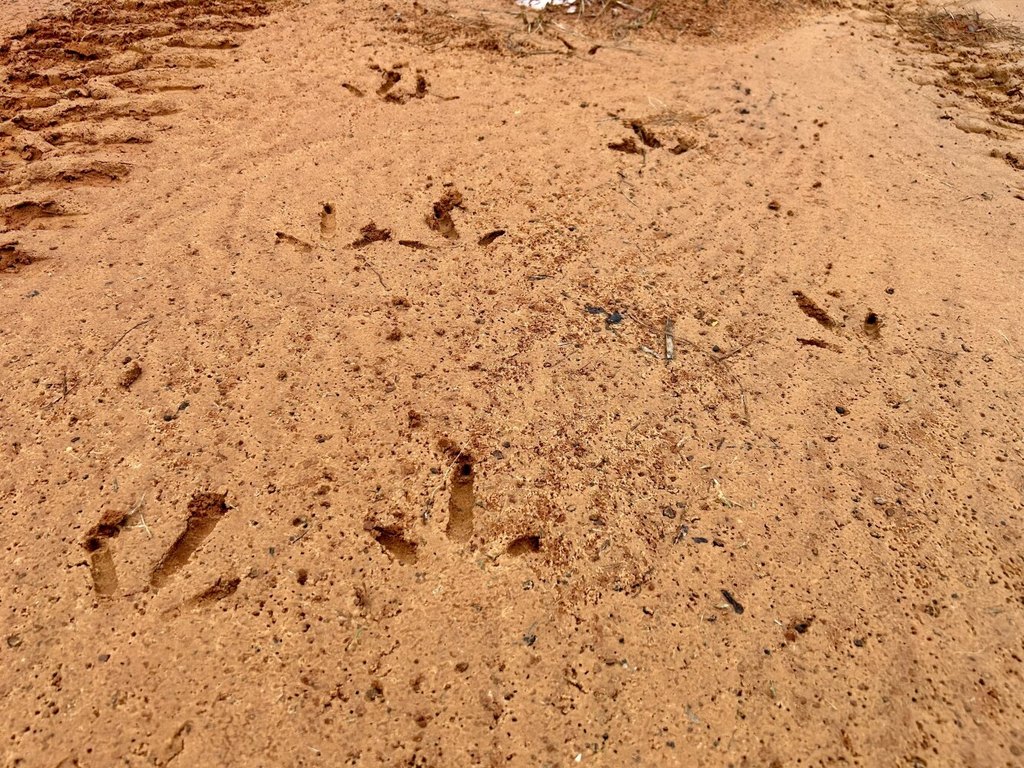 Picture 5