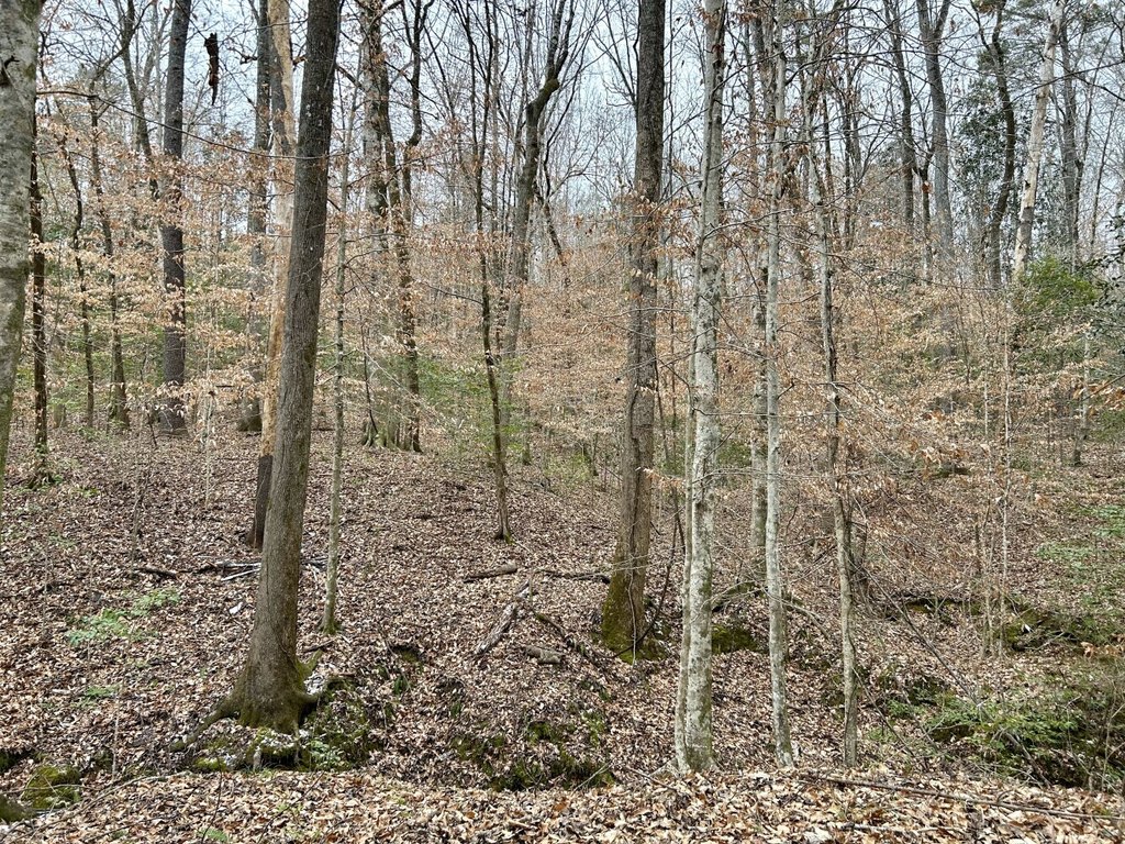 Picture 18