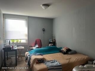 Picture 29