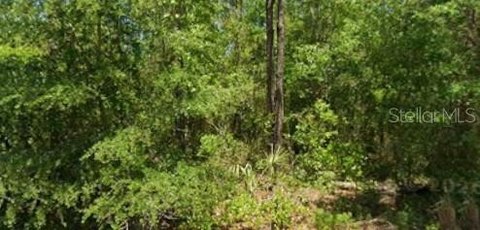 Land, DUNNELLON, FL