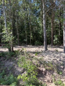Land, Lufkin, TX