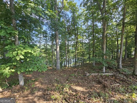 Toccoa, GA Homesite in Currahee