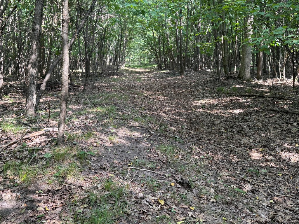 Picture 14