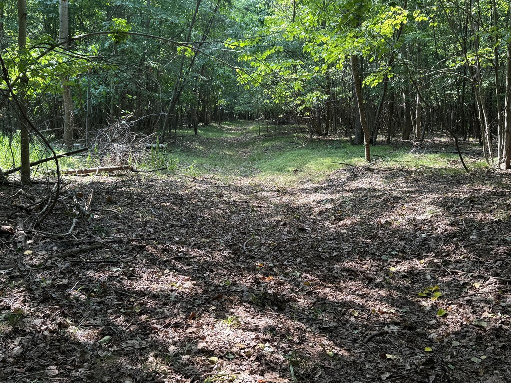 Picture 15