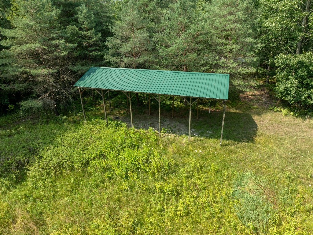 Picture 4