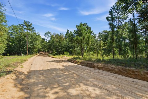 75 Acres in Swansea, SC