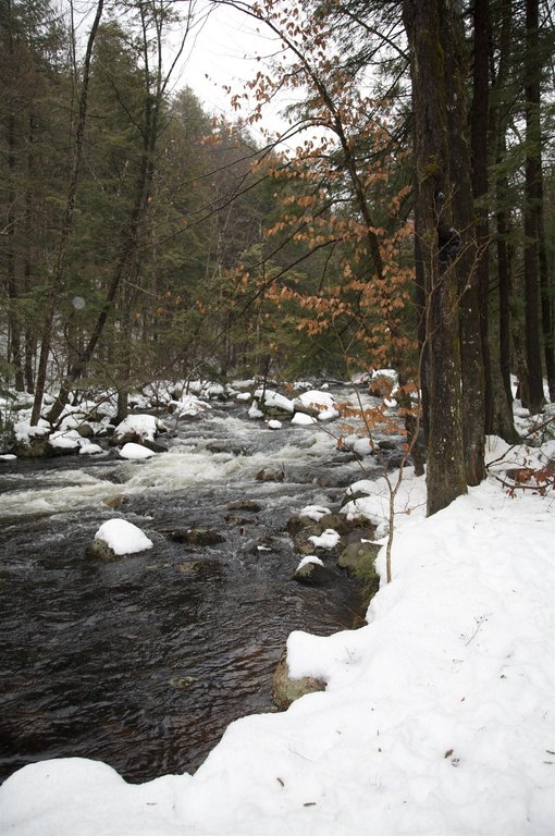 Picture 7
