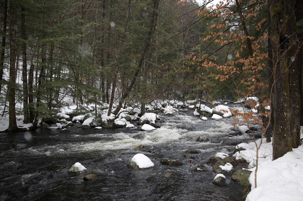 Picture 4