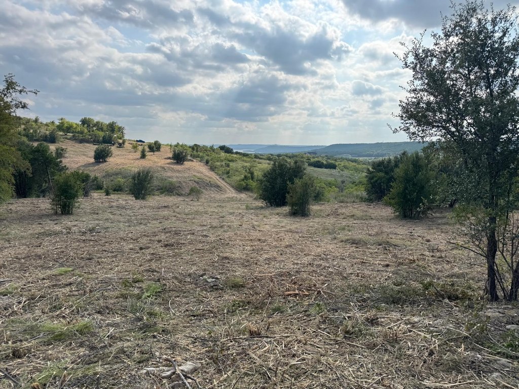 Picture 25