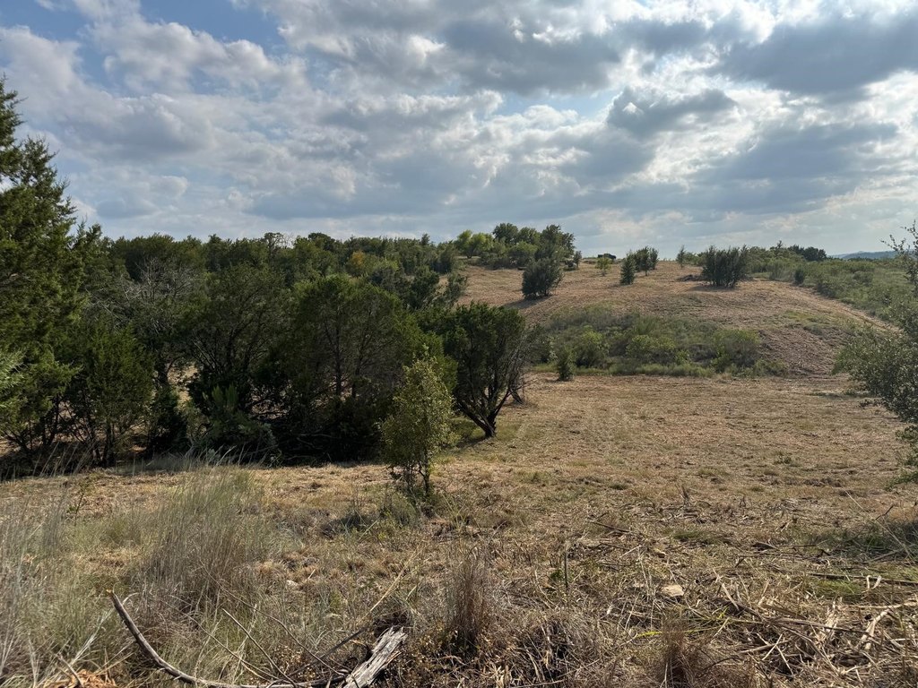 Picture 28
