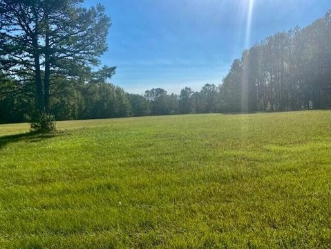 Appling, GA Land For Sale