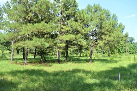 Land Near Fernwood Golf Course