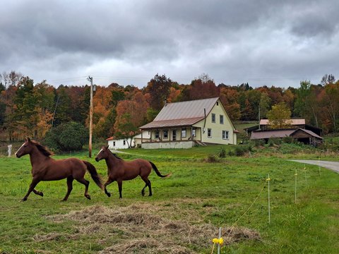 Horse Farm with 2-Bay Garage