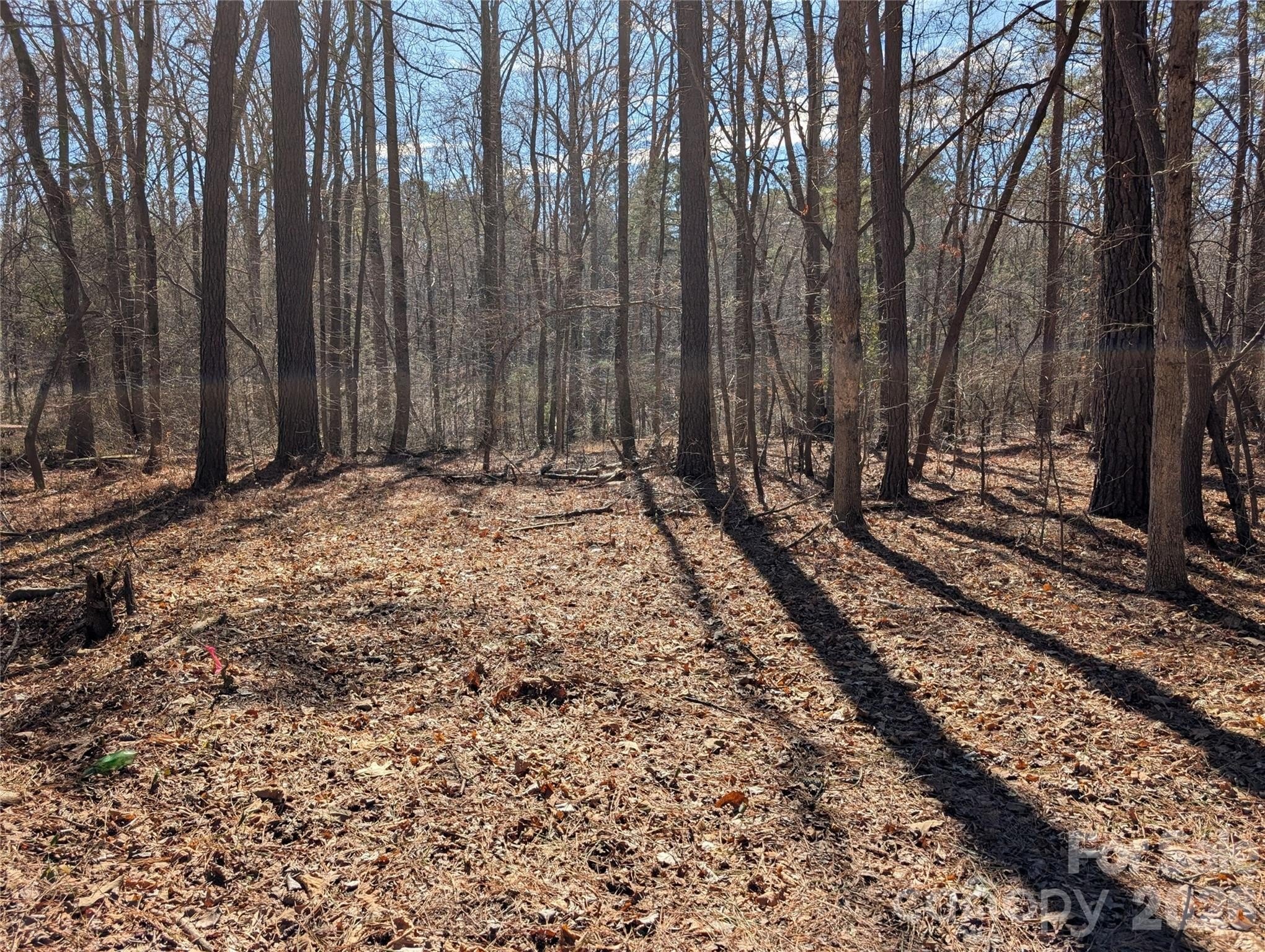 Residential Land in Rock Hill