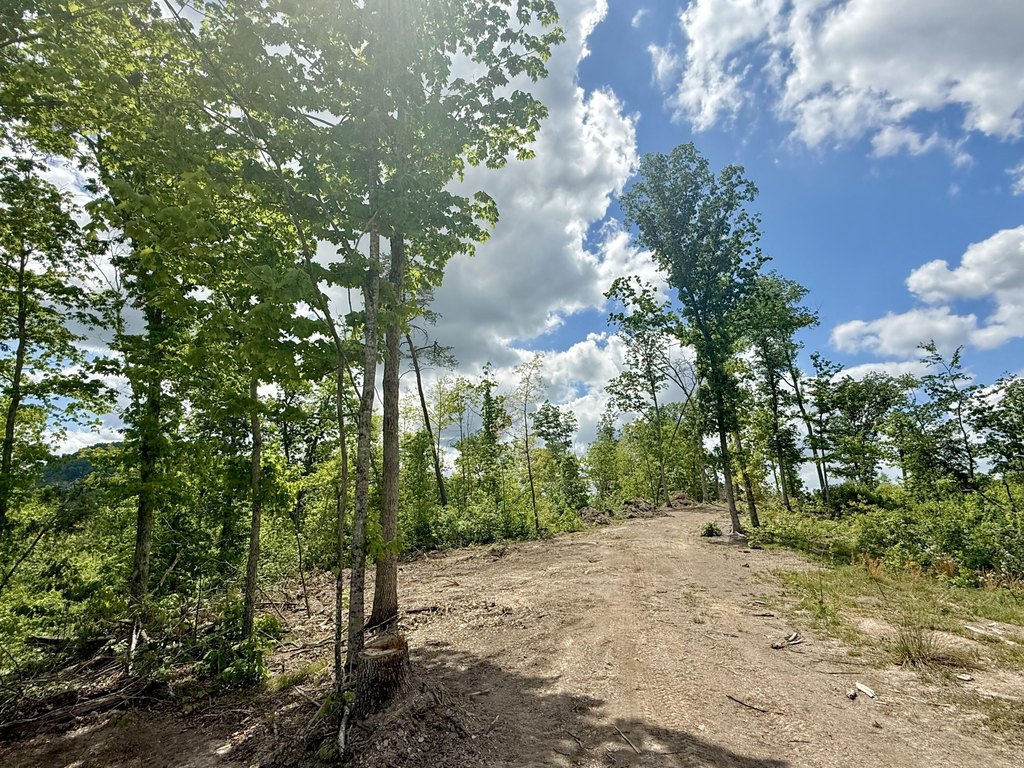 Picture 24