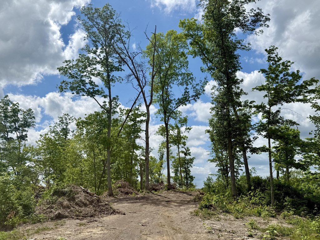 Picture 37