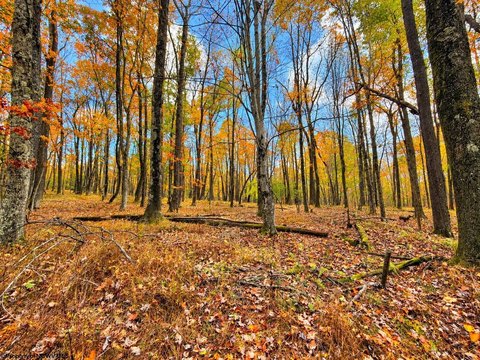 Lots/Land, Terra Alta, WV