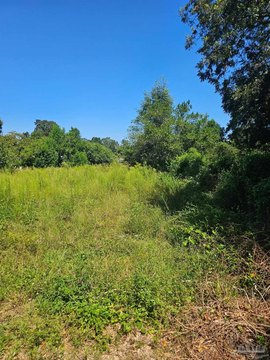 Land, Pensacola, FL