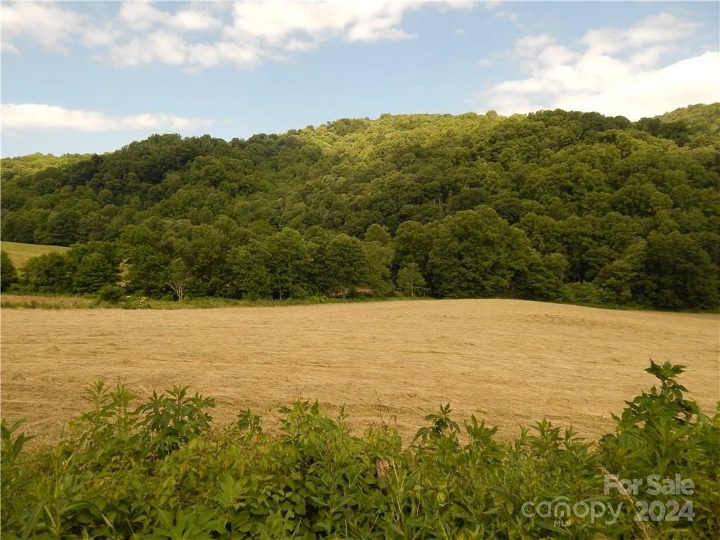 Unspoiled Farm Ideal for Development