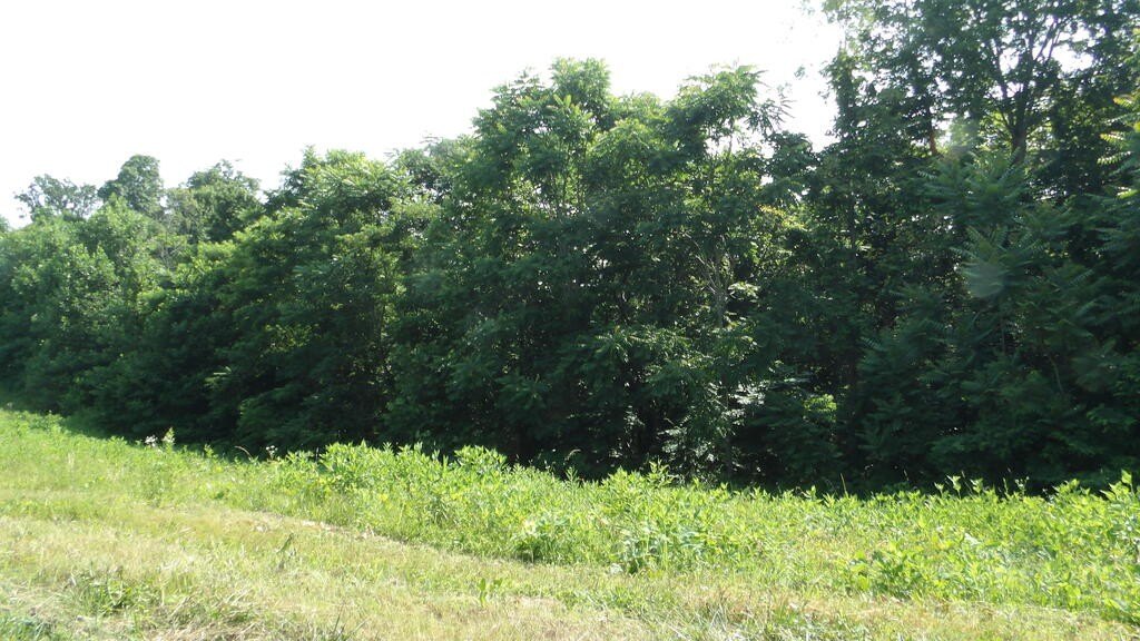 Picture 24