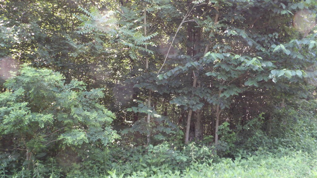 Picture 32