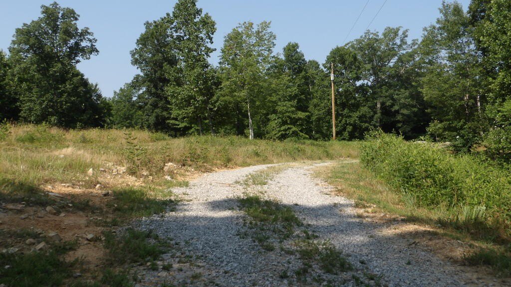 Picture 11