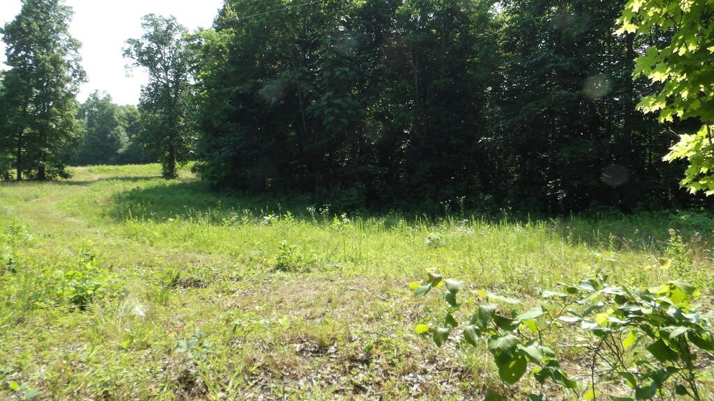 Picture 27