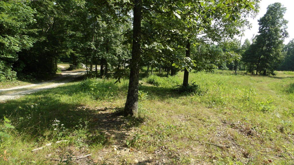 Picture 30