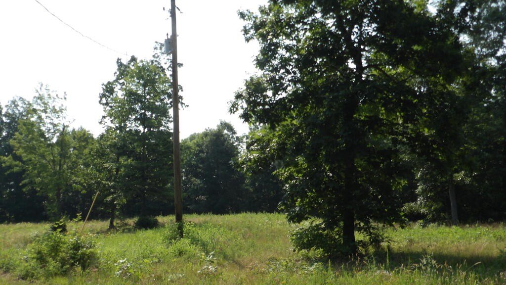 Picture 19