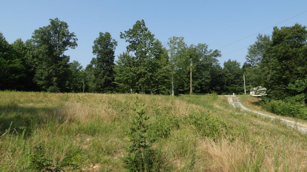 Picture 16