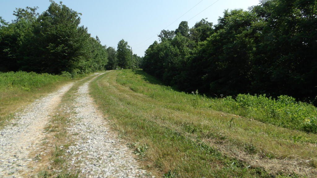 Picture 45