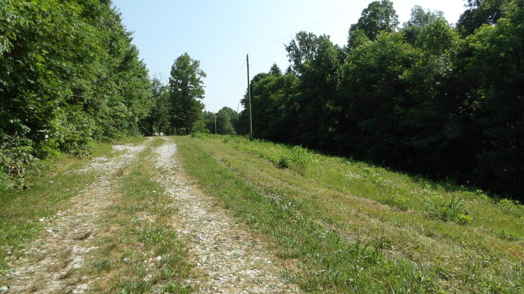 Picture 46