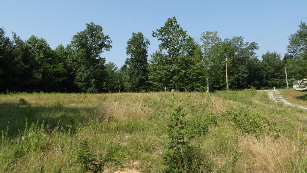 Picture 17