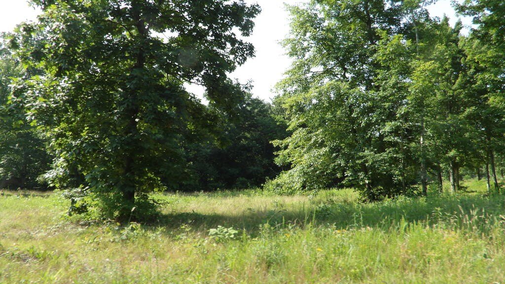 Picture 7