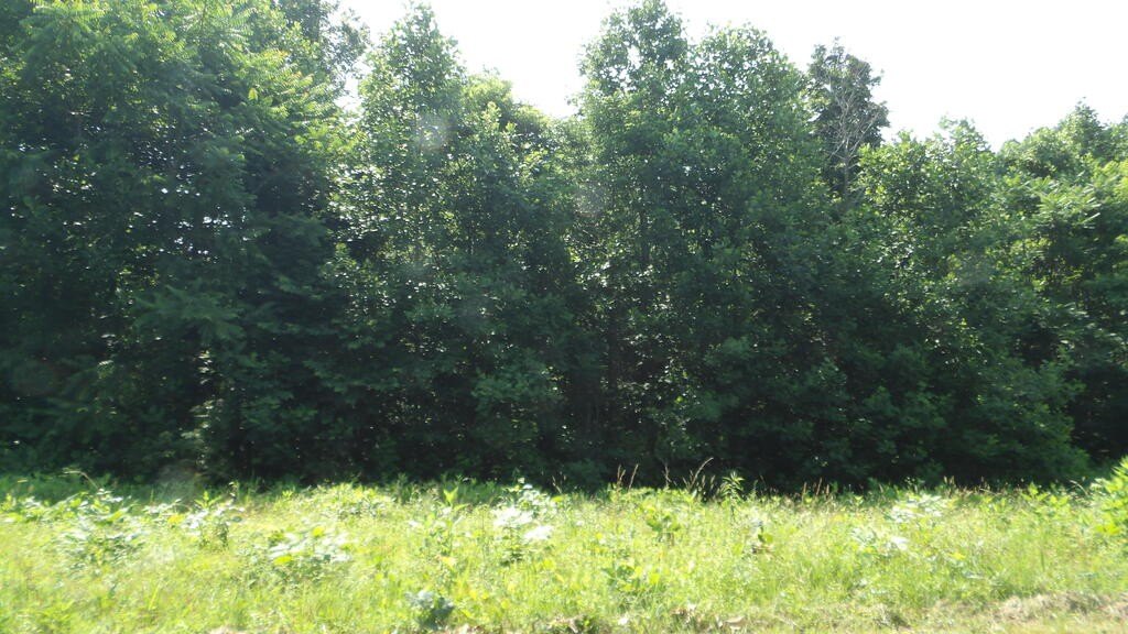 Picture 23