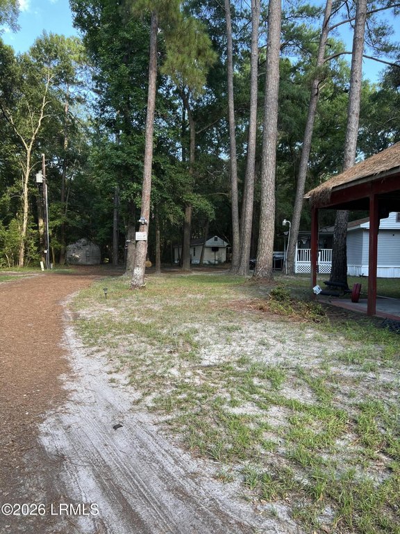 Picture 9