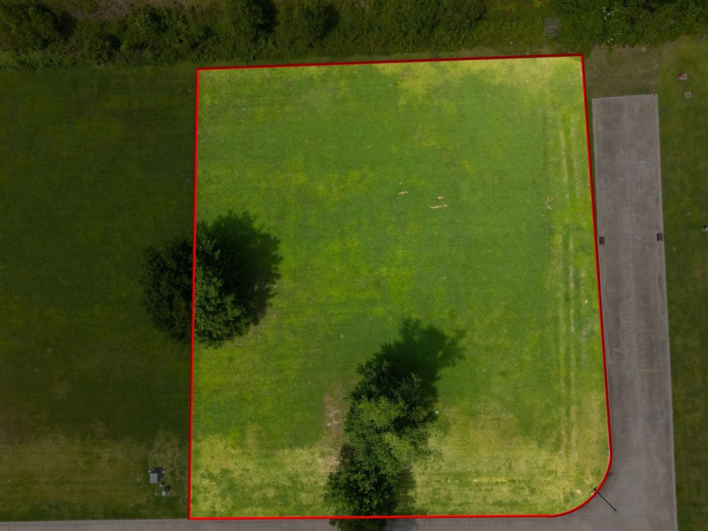 Picture 3