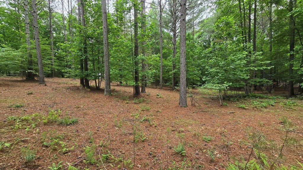 Picture 8