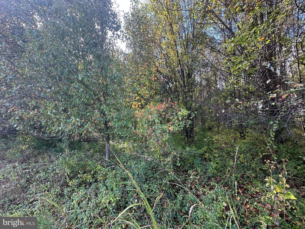 Picture 15
