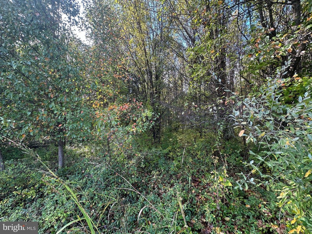 Picture 14