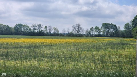 Whiteland Estate Property: 10 Acres