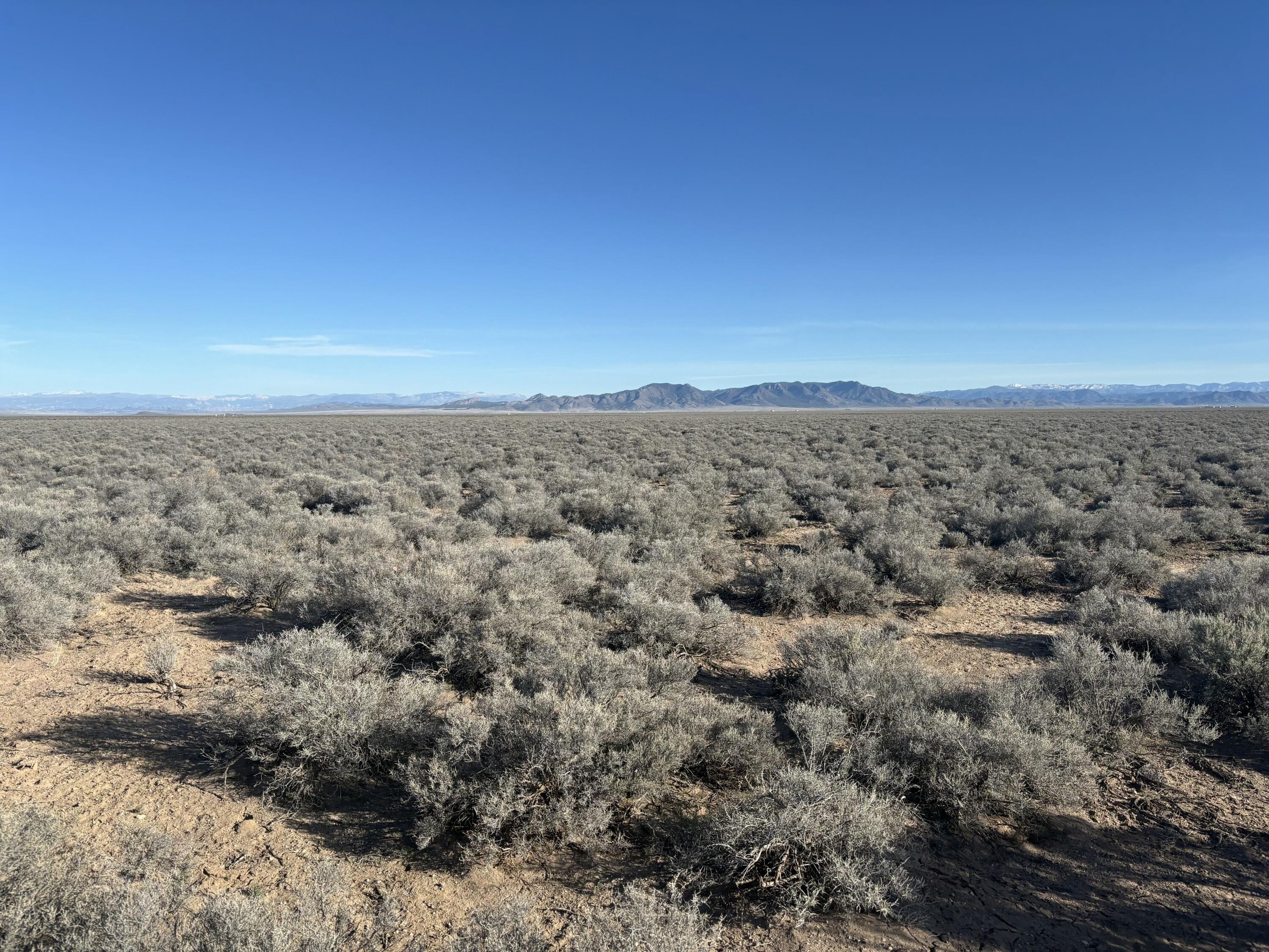 40 Acres of Land in Beryl