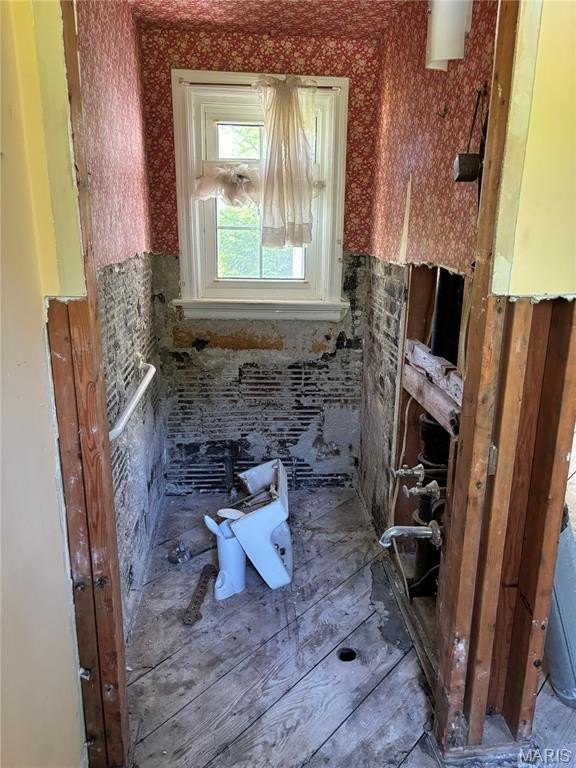 Picture 24