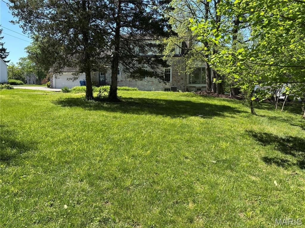Picture 10