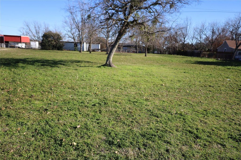 Picture 9
