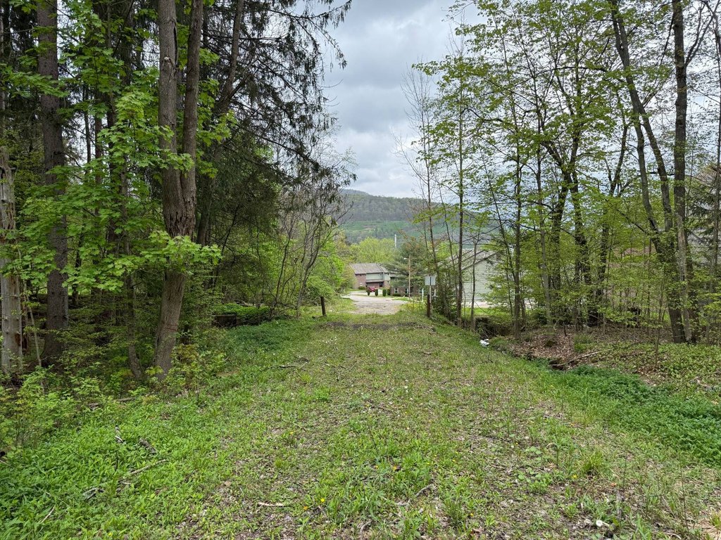 Picture 18