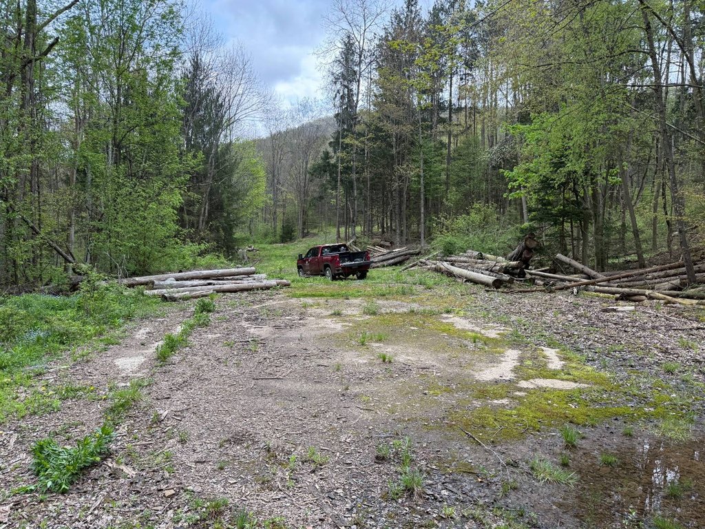 Picture 17