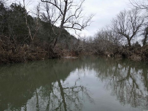 Viola, AR Land with Creek
